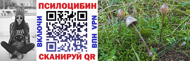 Псилоцибиновые грибы GOLDEN TEACHER  ссылка на мегу tor  Анадырь 